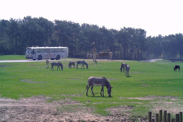 Bezoek beekse bergen