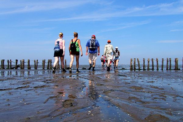 Weekend wadlopen en wellness